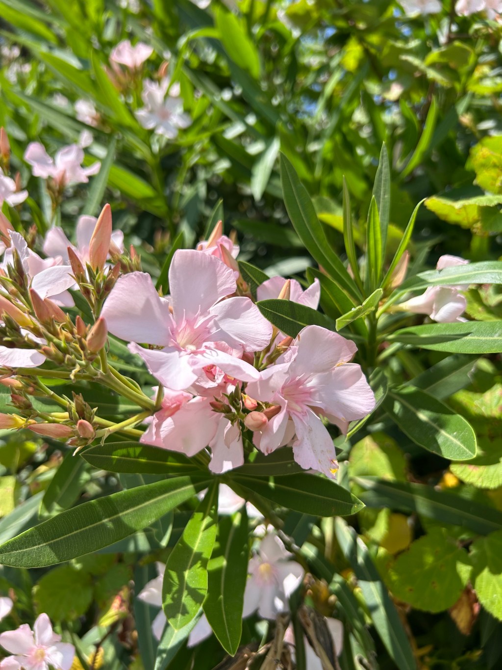 5: the merchant life in&nbsp;ostia