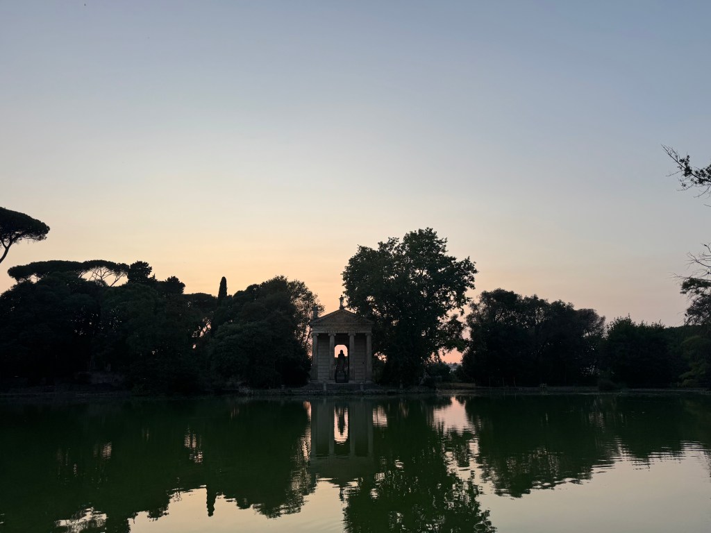 SUN 6/8/25: made some animal&nbsp;friends