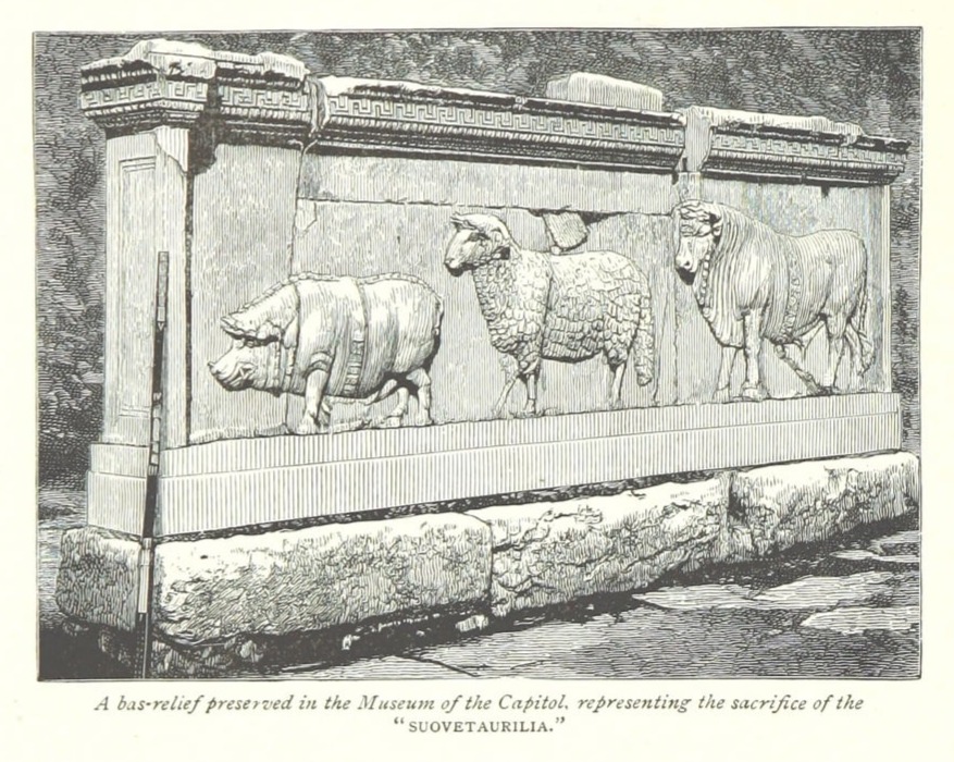 Group Presentation – What Was Animal Sacrifice Really Like? (Isabel &&nbsp;Elena)